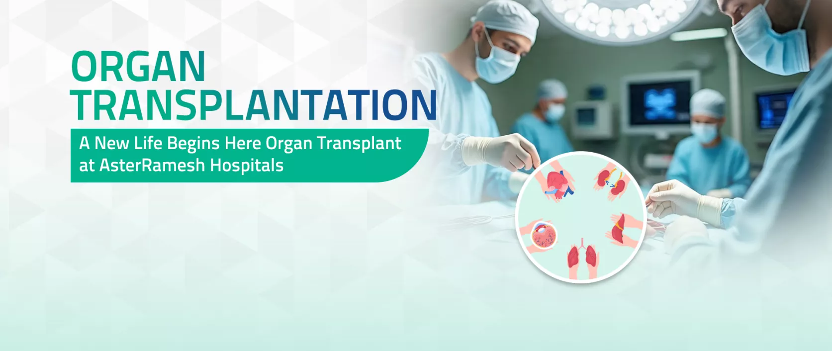 Organ Transplant