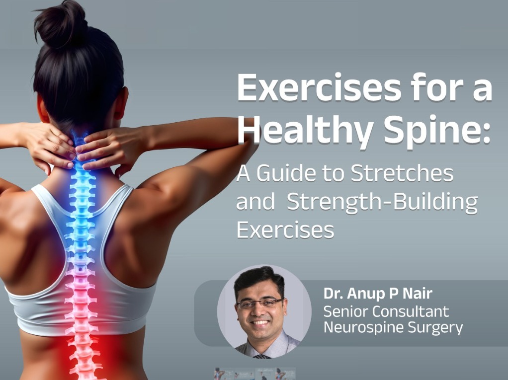 Exercises for a Healthy Spine: A Guide to Stretches and Strength-Building Exercises