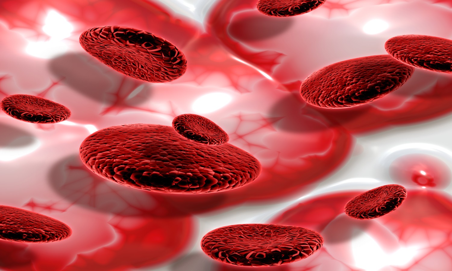 red blood cells
