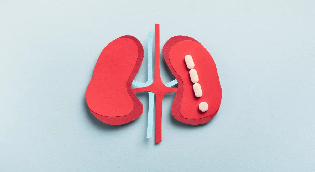 Understanding the Impact of Painkillers on Kidney Health