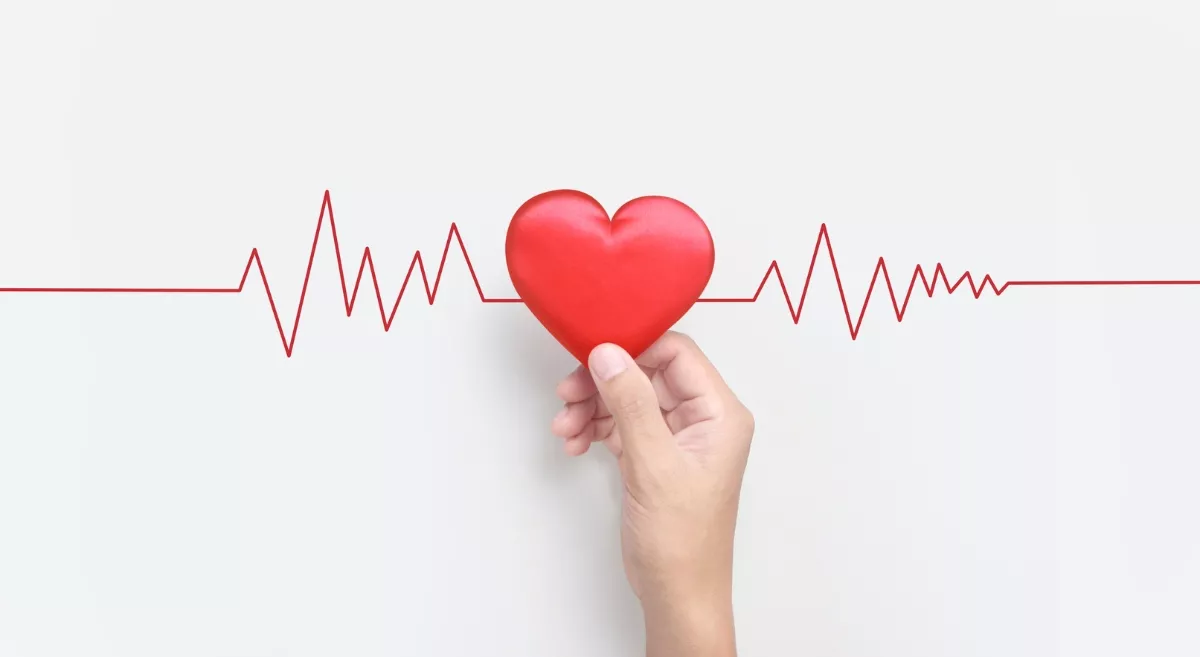 Understanding the Impact of Stress on Heart Health