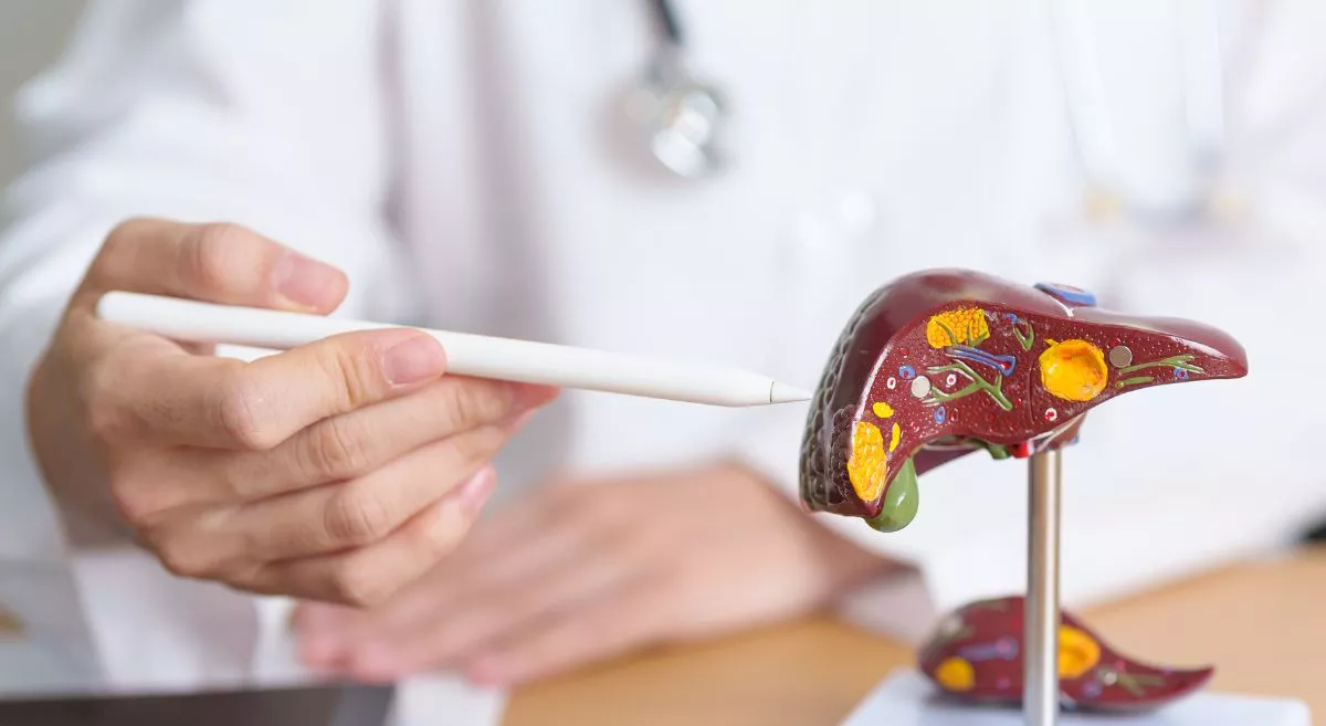 Fatty Liver Causes, Symptoms, Risks, and Prevention