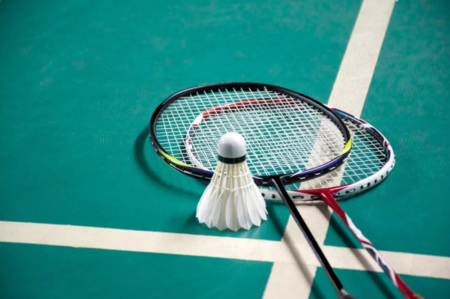 The Physiotherapist's Guide to Elite Badminton Performance