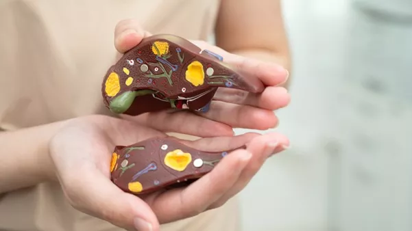 Top 10 Liver Health Tips, 2026 - What Experts Want You to Know.