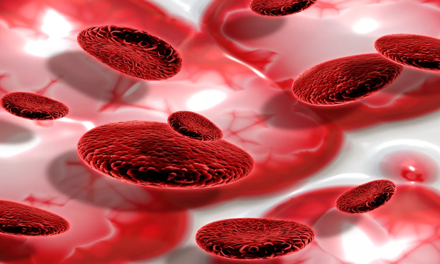 red blood cells